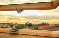 rated Eildon roof window companies